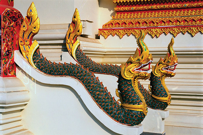 6 animaux emblématiques Cambodge serpent